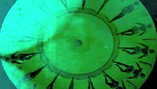 Vintage Erotic Art Reveals Antique Hairy Temptations