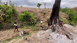 Chubby bbw big ass tits fucked hard outdoors in forest