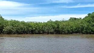 Hubby Watches Strangers Pound Us on Boat in Wild Cuckold Frenzy