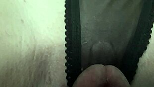 ever checked out these sexy panty shots??