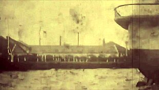 vintage hairy beavers in retro erotic poses