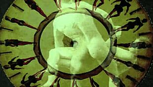 vintage hairy beavers in retro erotic poses