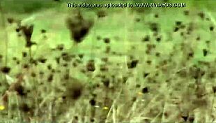 andreia vargas making of shoot 28-09-2007 french shemale escort crossdresser mp4sd