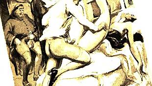 vintage hairy beavers in retro erotic poses