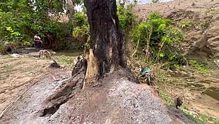 Chubby bbw big ass tits fucked hard outdoors in forest