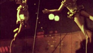 vintage hairy beavers in retro erotic poses