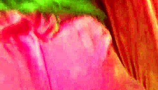 Steppy fucks my ass outside with sex toy caught! 😈