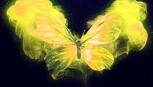 wow teen cutie amalia davis bends over for your every hardcore desire!!