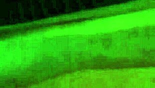 pendeja tatuada de bs as 😈 lista para todo 🔥💦