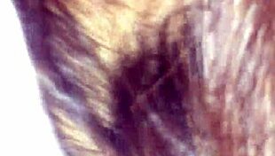 creampie your sister-in-law again?! part 2 has her begging for more!!