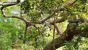 adão eva putaria paradise anal ripped clothes dripping fat cock whore