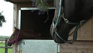 wanna see this bbw milf housewife's big natural tits bounce?