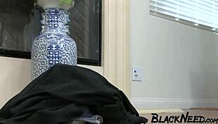 Busty Brunette Fucks Big Black Cock First Time Ever