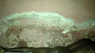 solo late night urges lead to intense private midnight self play