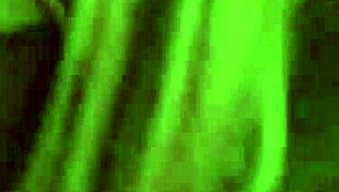 wife's deep throat pov blowjob ends in swallow