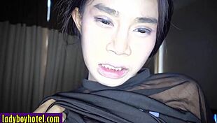 Oiled Shemale Asshole Pounded By Perverted White Buddy