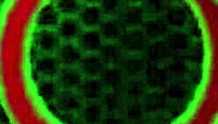 god, maxine x's fat ass rimjob on monster cock drives me wild