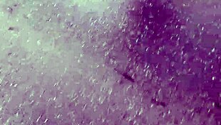 Raw Candid Street Voyeur Captures Hidden Ass Views