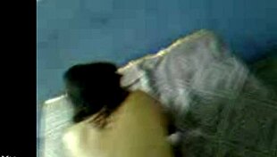 peruvian putita eisha ready for action