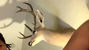 want that missionary hotel pounding now?