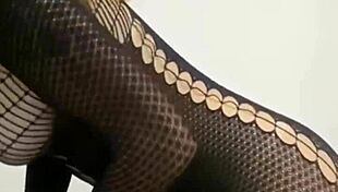 Hired Brazilian Maid Fucks in Tight Dress