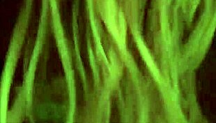 wife's deep throat pov blowjob ends in swallow