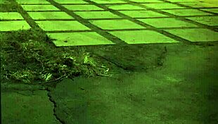 check this trampling domination... unless you're stuck in the sixties vibe 😈👟