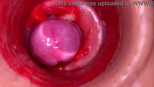 close up pov monster cock creampie fucks deep into vagina cervix