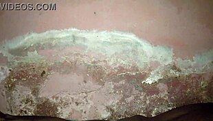 solo late night urges lead to intense private midnight self play