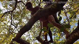 adão eva putaria paradise anal ripped clothes dripping fat cock whore