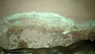 solo late night urges lead to intense private midnight self play