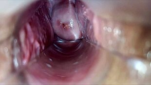 Pulsating Vagina Orgasm Speculum Close-Up