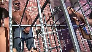 justice bends over bed takes huge black cock deep in phat booty doggystyle