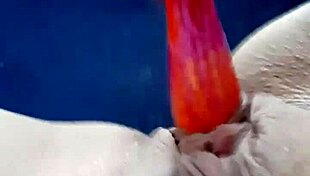 Amateur teen fingers pussy then rams dildo deep solo