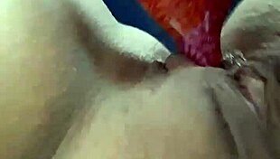 Amateur teen fingers pussy then rams dildo deep solo