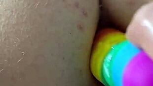 Chubby brunette gapes ass with rainbow dildo creampie