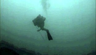 vintage erotic drawings feature antique retro sensual illustrations and poses