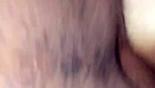 Spanish bbw bent over big daddy's monster black cock moaning profusely.