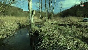 boyfriend films fucking hot bhabhi inside car mms