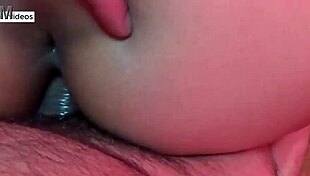 wanna see sheer flaquita's quick polvo in cheap hostel bent over pussy pounding more on my red or sheer network