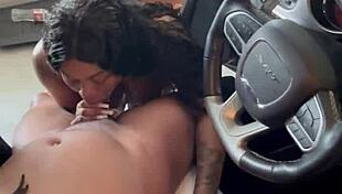 wanna see ebony sluts sloppy suck dick and lick balls hard?