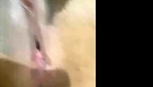 hey corniho, watch me suck this gozada pussy from that negao fucking hard