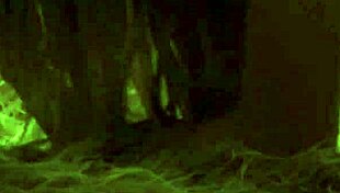 blonde princess alexandra spreads shaved ass wide