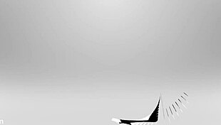 Jessie Belle's Footjob Leads to BBC Pounding!