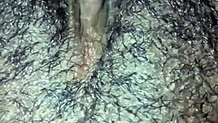 ebony teases her dripping hairy pussy close up wet orgasm