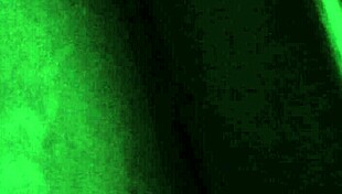 hear neighbor moaning as she takes that thick cock deep vizinha!!