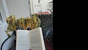 my stepmom sneaks a peek while i suck my husband's throbbing cock