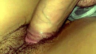 cute coed's steamy homemade romp sparks curiosity