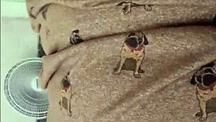 Comi Neighborhood Curvy Girl High and Loved Every Bit!