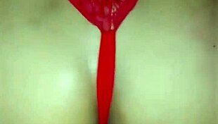 Compilado Of Hot Amateur Aninha Novinha's Best Big Ass Pussy Sex Videos